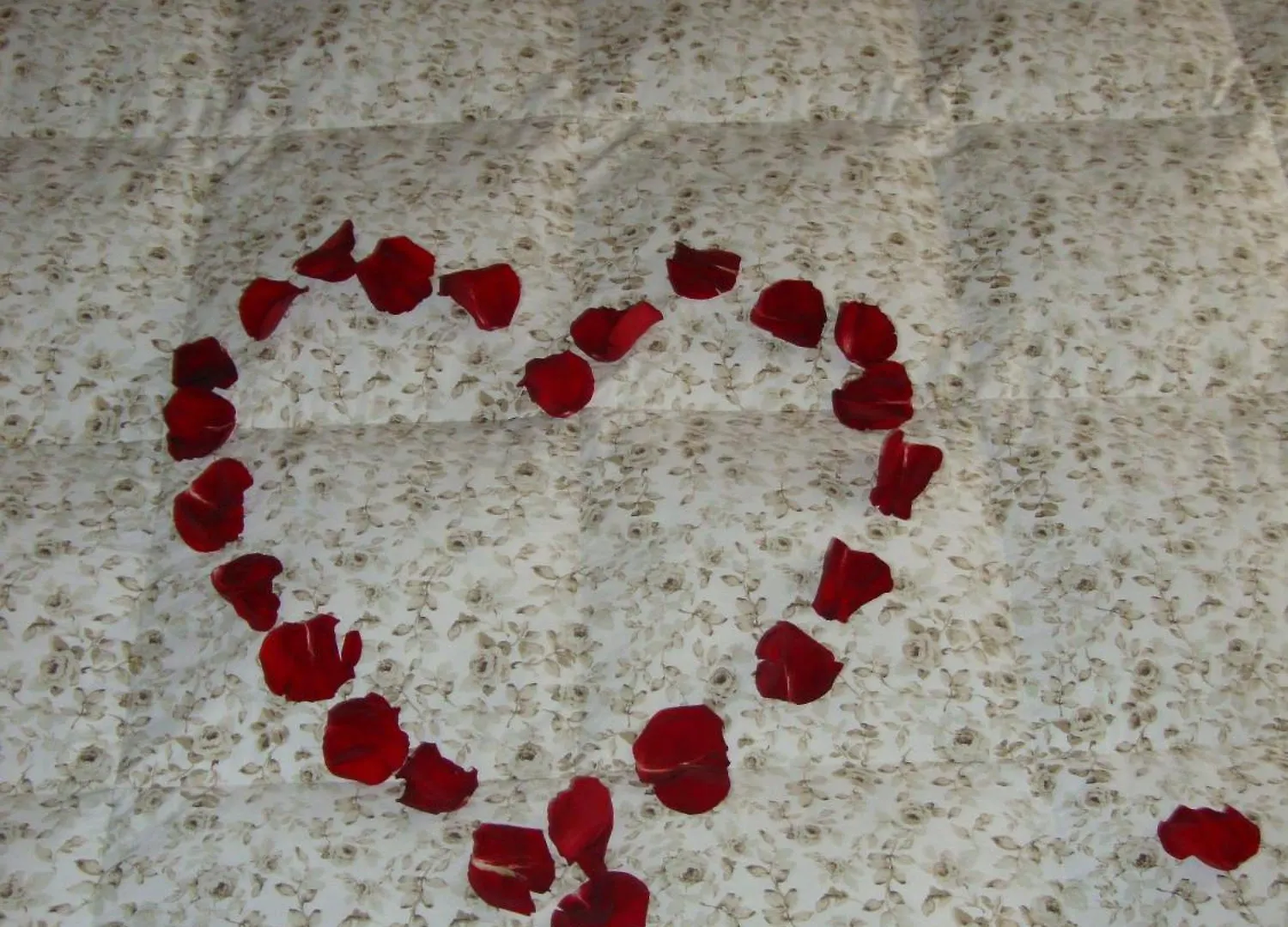 Hotel Venezia Caorle